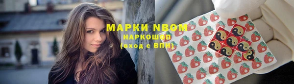 кокс Кущёвская