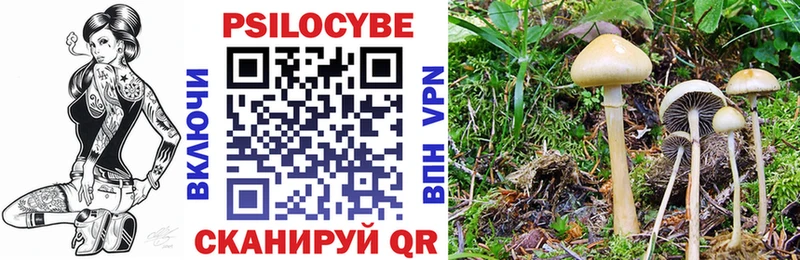 Галлюциногенные грибы Psilocybe  Сланцы 