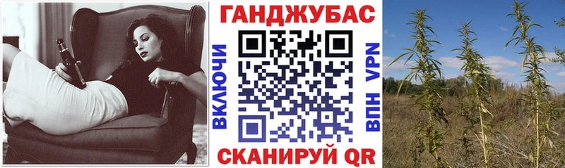 МАРИХУАНА планчик  где найти   Сланцы 